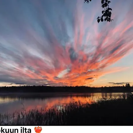 Ympaerivuotinen Jaervenrantahuvila Pihtiputaalla Vila *