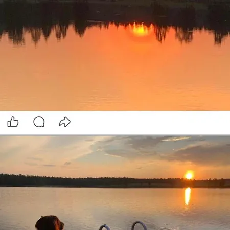 Vila Ympaerivuotinen Jaervenrantahuvila Pihtiputaalla *