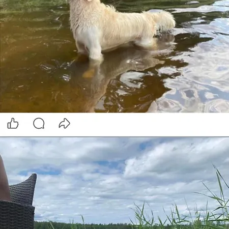 Ympaerivuotinen Jaervenrantahuvila Pihtiputaalla Pihtipudas