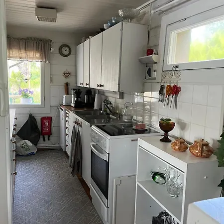 Ympaerivuotinen Jaervenrantahuvila Pihtiputaalla * Pihtipudas