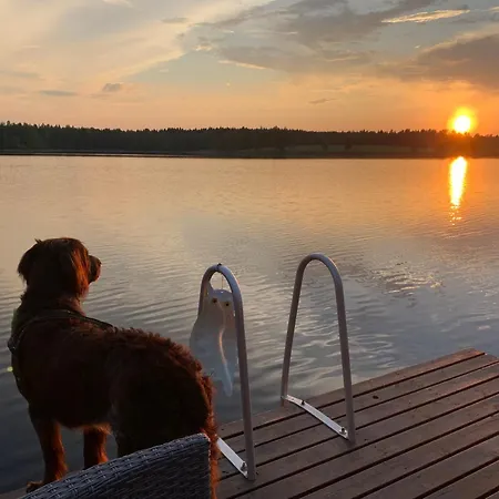 Ympaerivuotinen Jaervenrantahuvila Pihtiputaalla Villa